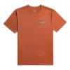 Billabong T-Shirt Arch A/Div