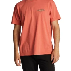 Billabong T-Shirt Archwave