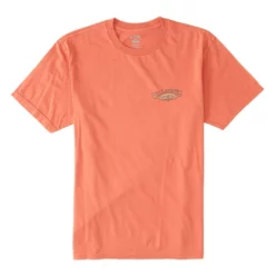 Billabong T-Shirt Archwave -Duotone Vente t shirt archwave 4