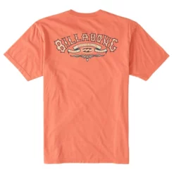 Billabong T-Shirt Archwave -Duotone Vente t shirt archwave 5