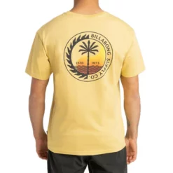 Billabong T-shirt Transport -Duotone Vente t shirt transport 2